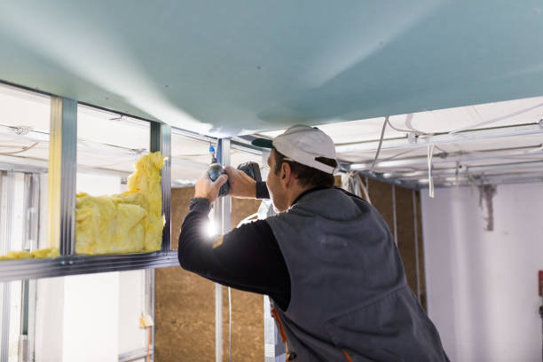 Best Geographic-Specific Insulation Services in Franconia, VA